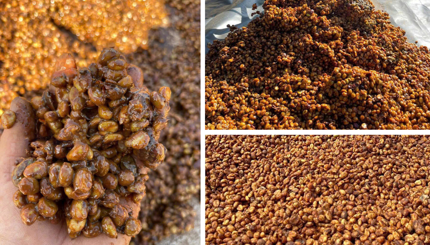 Sơ chế Honey